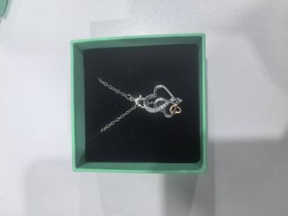 图片 Heart Shaped Necklace
