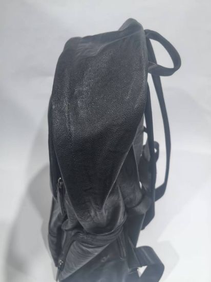 图片 Backpacks