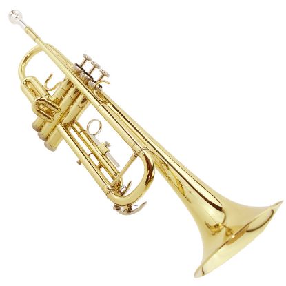 图片 Magvit B flat trumpet instrument beginner entry-level trumpet instrument MTR-100 Monel live