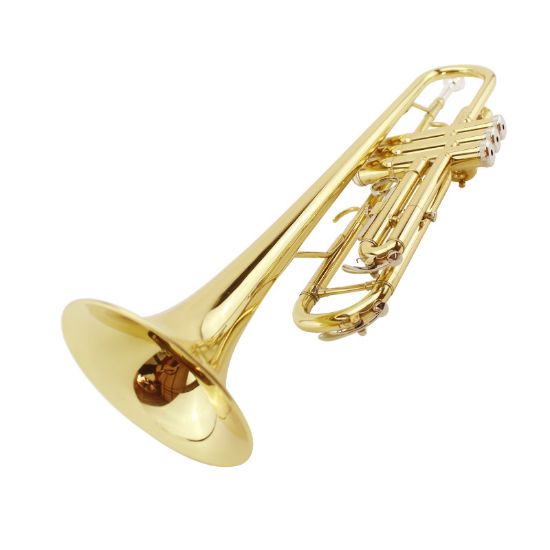 图片 Magvit B flat trumpet instrument beginner entry-level trumpet instrument MTR-100 Monel live