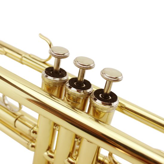 图片 Magvit B flat trumpet instrument beginner entry-level trumpet instrument MTR-100 Monel live